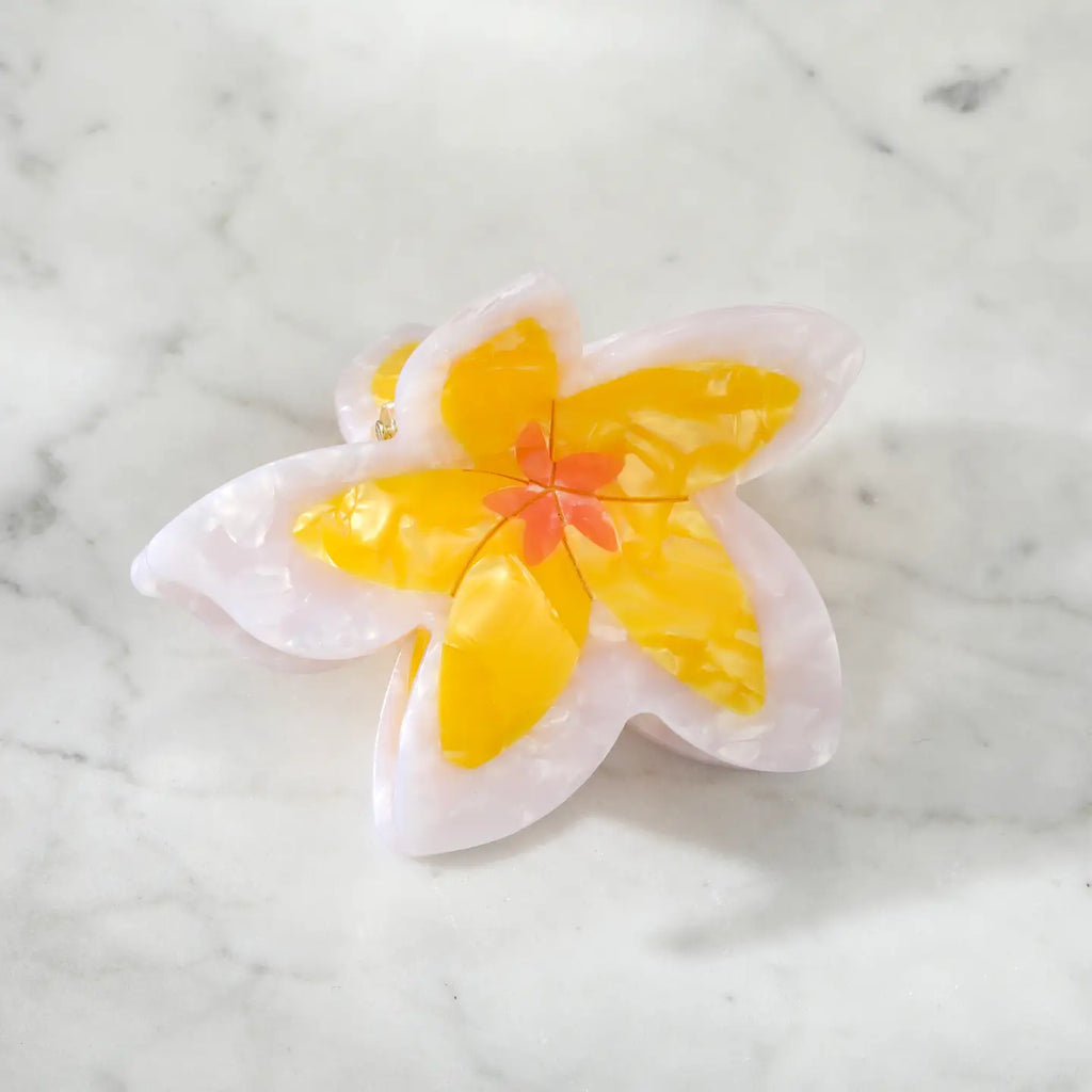 Seashell Haven Hair Clip