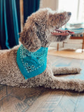 Surf Post Bandana