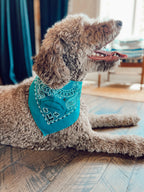 Surf Post Bandana