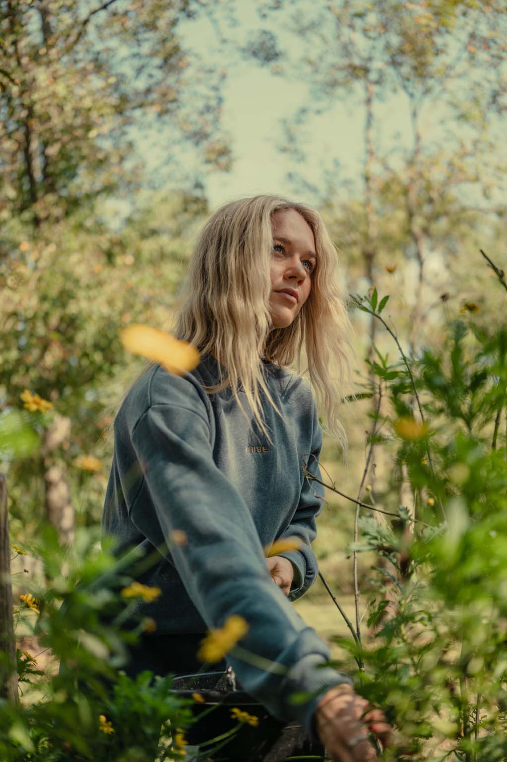 Butter Crew - Coastal Countryside