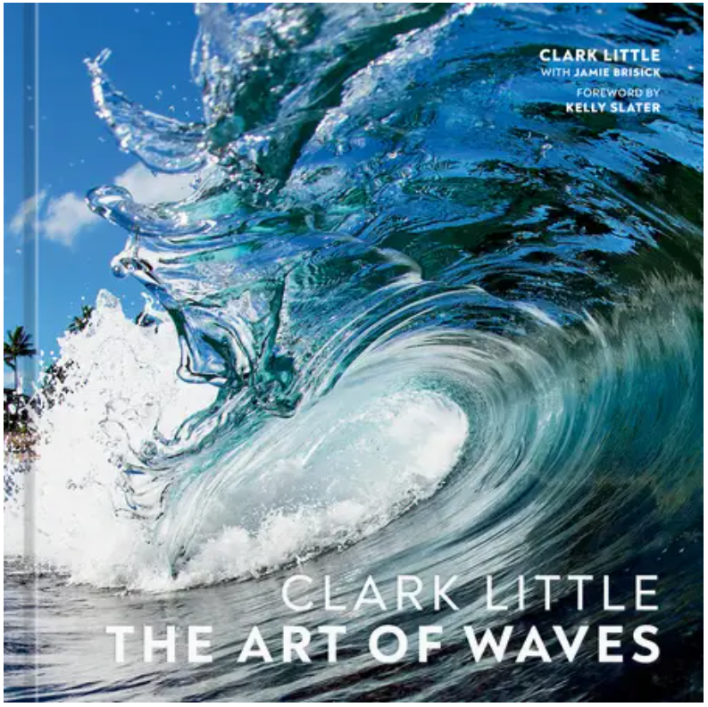 The Art of a Wave - Clark Little