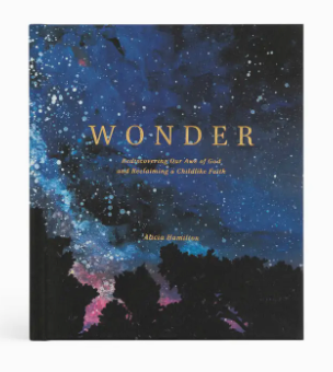 Wonder: Bible Study by Alicia Hamilton