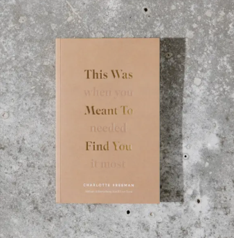 This Was Meant to Find You Book
