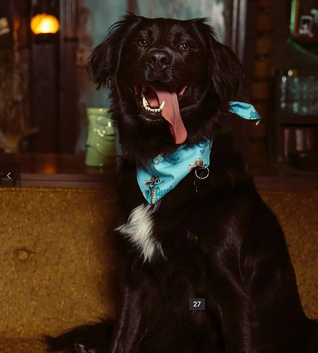 Seabud Doggy  Bandana