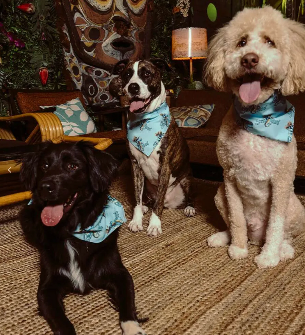 Seabud Doggy  Bandana
