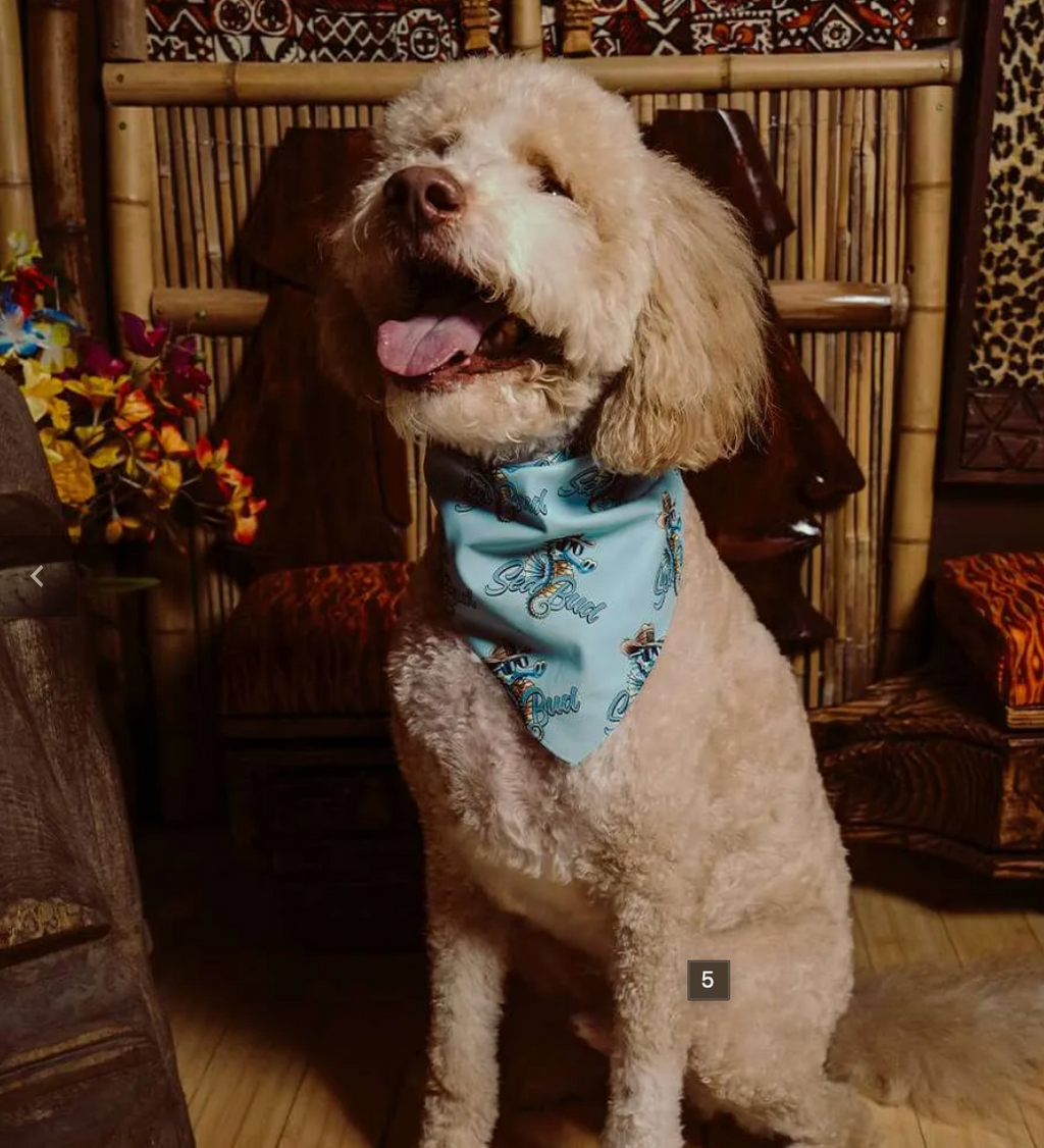 Seabud Doggy  Bandana