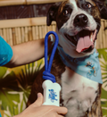 Seabud Pull N Tug Dog Toy