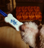 Seabud Pull N Tug Dog Toy