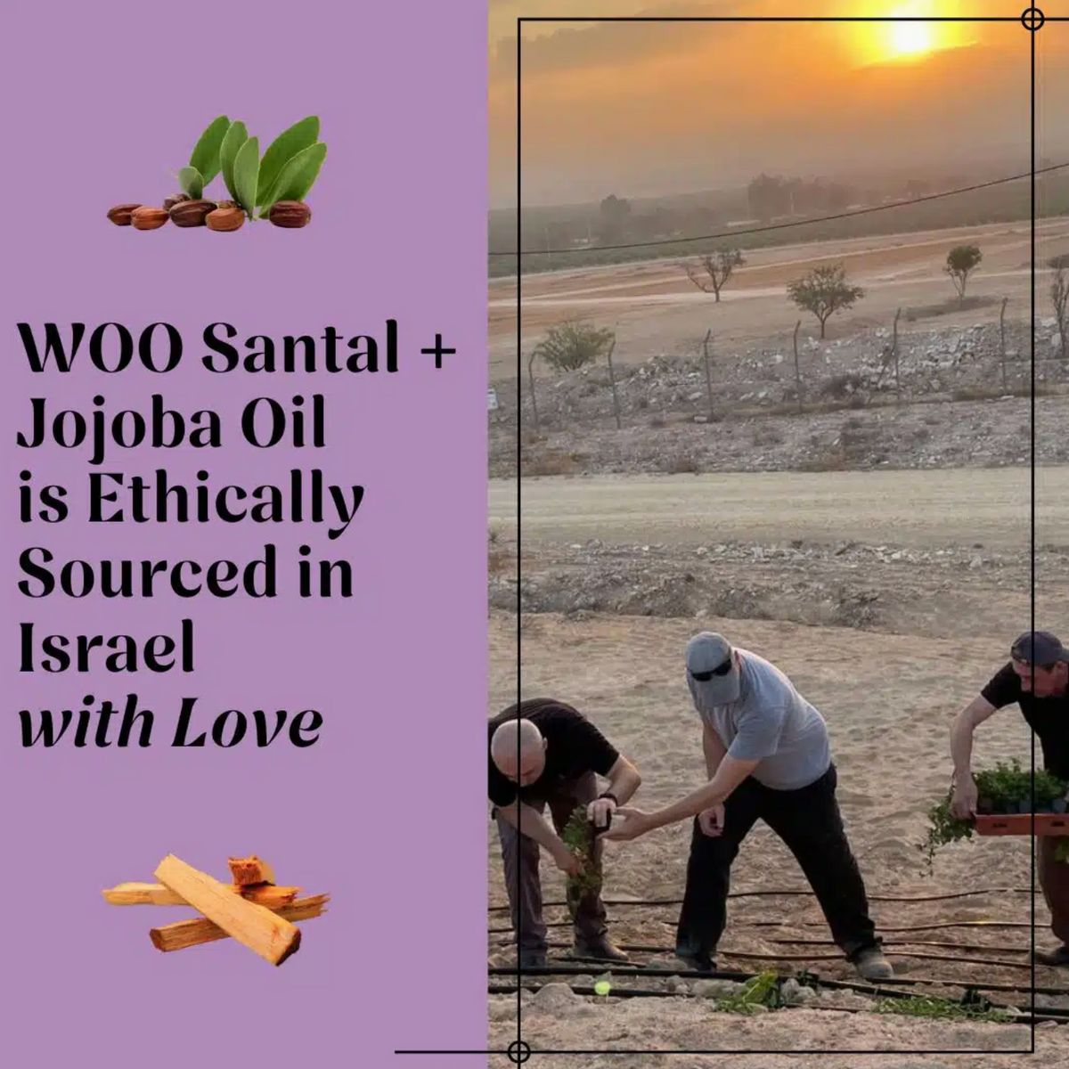 WOO World of Oils Santal + Jojoba Oil