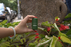 Outside Balm