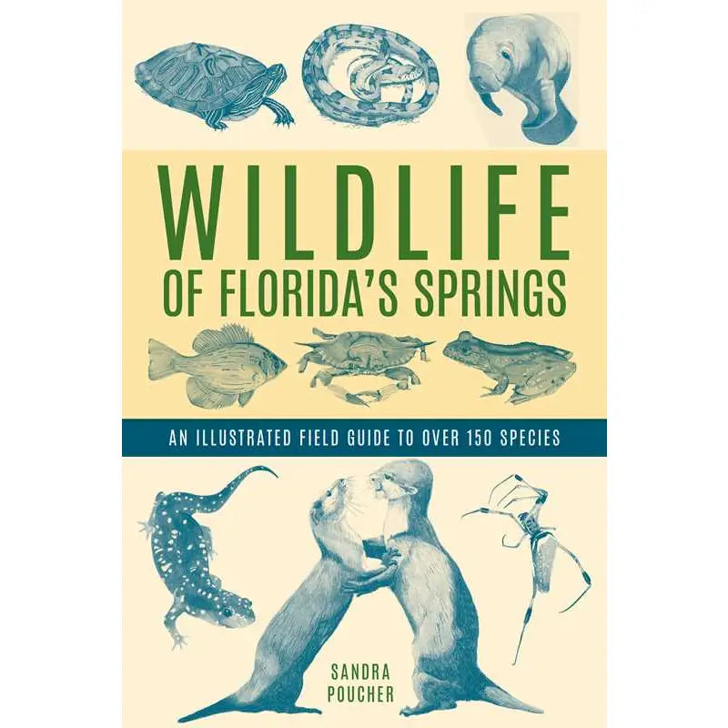 Wildlife of Florida's Springs By Sandra Poucher