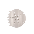 Sand Dollar Large Flat Hair Clip